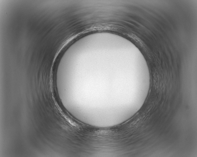 X0000052970894200508051011