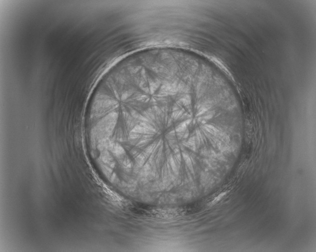 X0000052970895200508051011