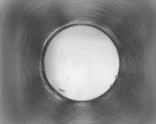 X0000052970896200508051011