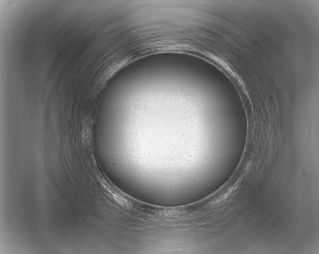 X0000052970897200508051011