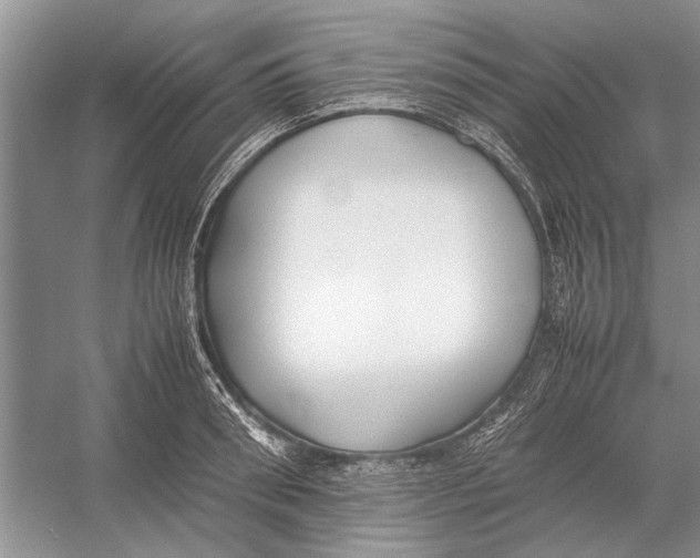 X0000052970898200508051011