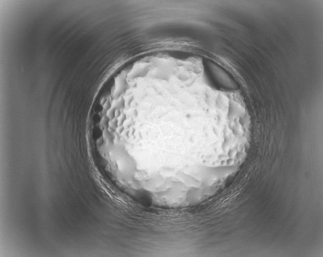 X0000052970899200508051011