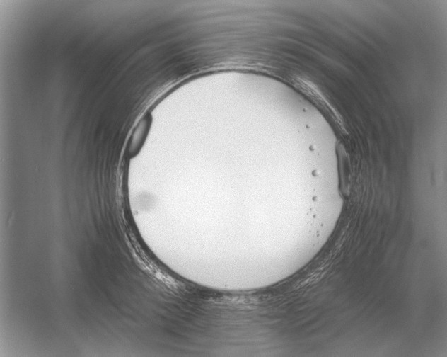 X0000052970900200508051011