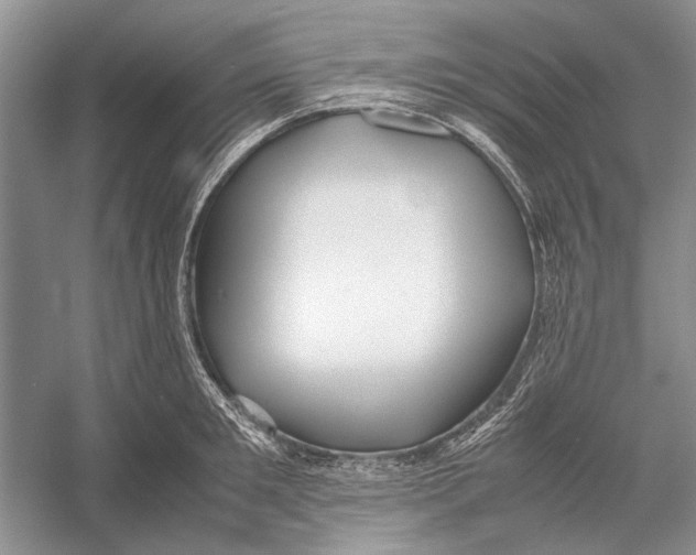 X0000052970901200508051011