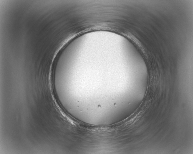 X0000052970902200508051011