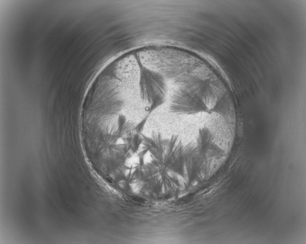 X0000052970903200508051011