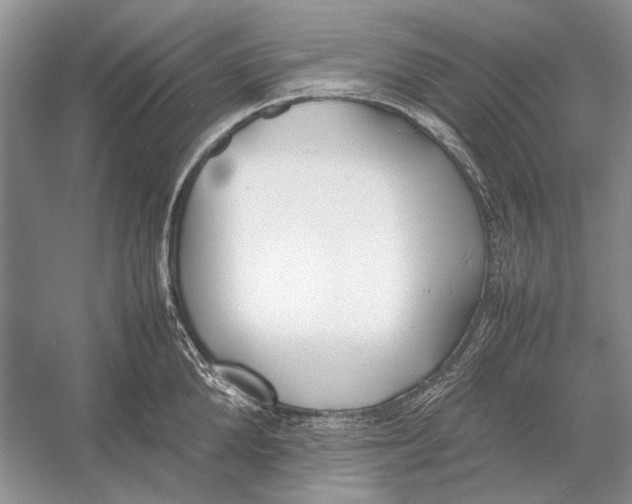 X0000052970904200508051011