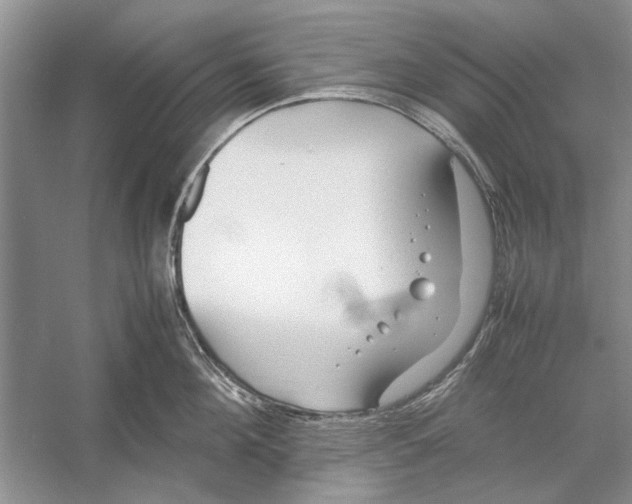 X0000052970908200508051011