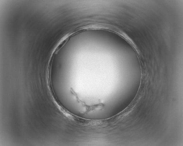 X0000052970909200508051011