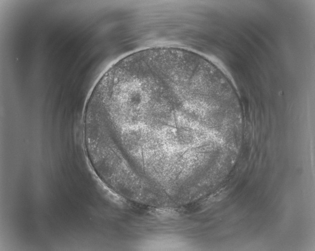 X0000052970911200508051011