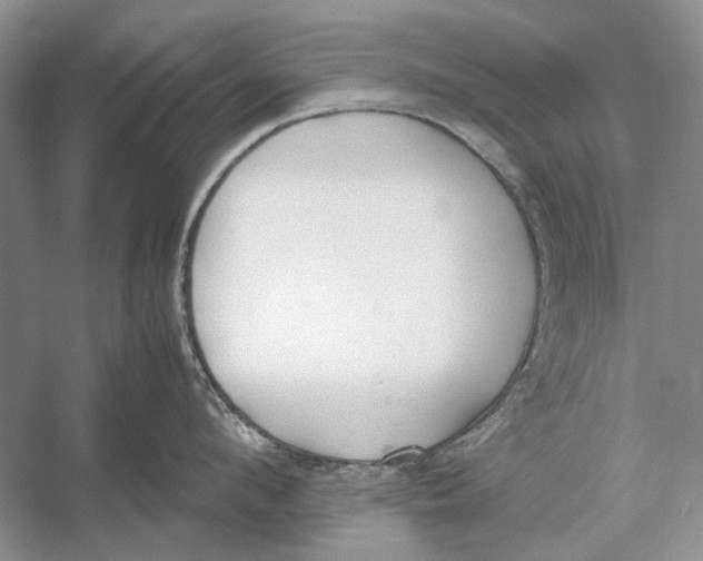 X0000052970912200508051011