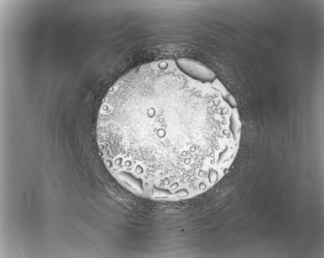 X0000052970913200508051010