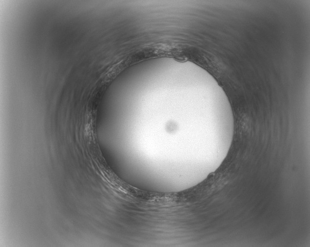 X0000052970914200508051010