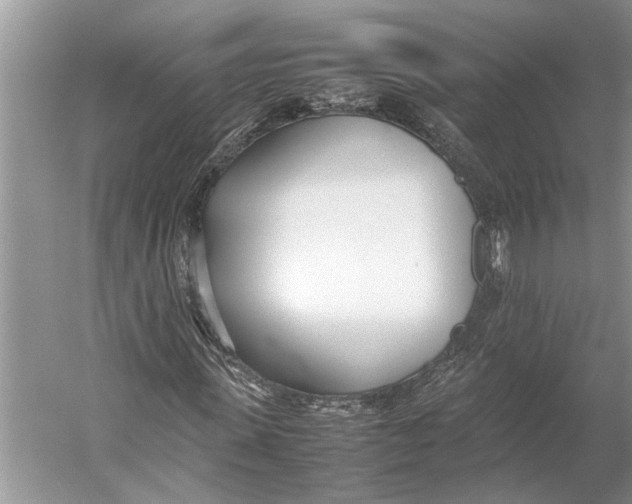 X0000052970915200508051010