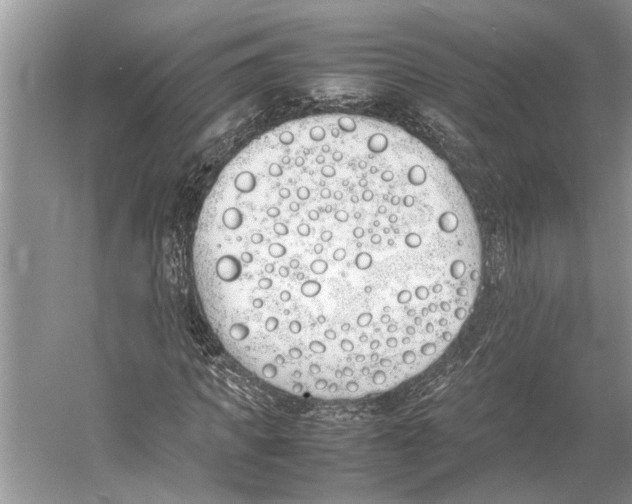 X0000052970917200508051010