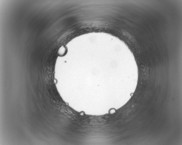 X0000052970918200508051010