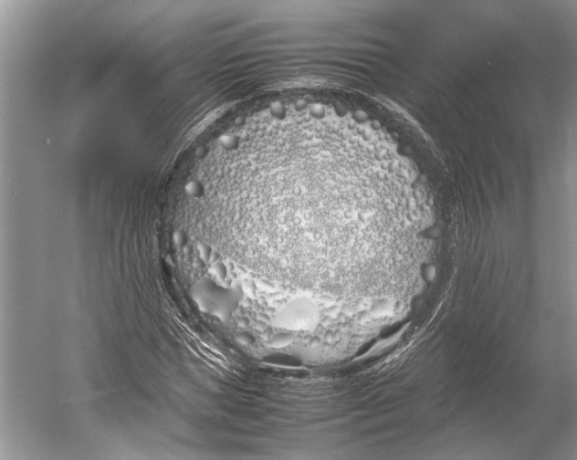 X0000052970921200508051010