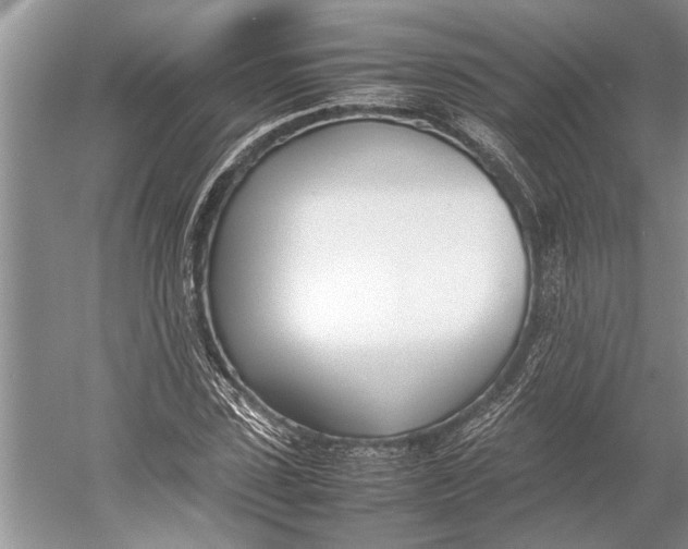 X0000052970923200508051010