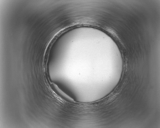 X0000052970924200508051010