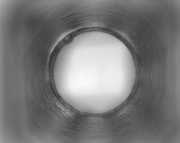 X0000052970927200508051010