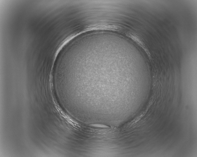 X0000052970928200508051010