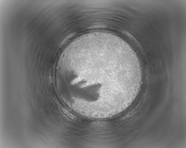 X0000052970929200508051011