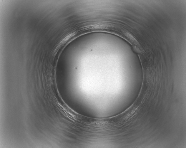 X0000052970930200508051011