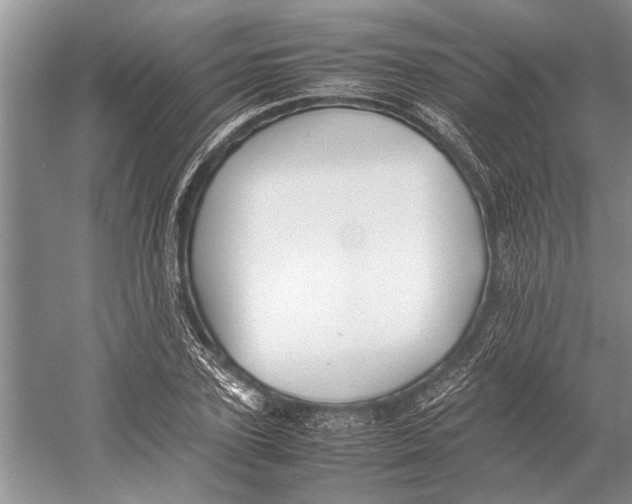 X0000052970931200508051011