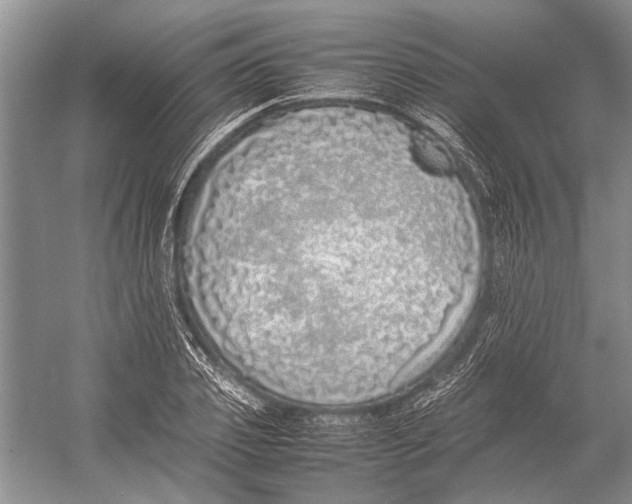 X0000052970933200508051011