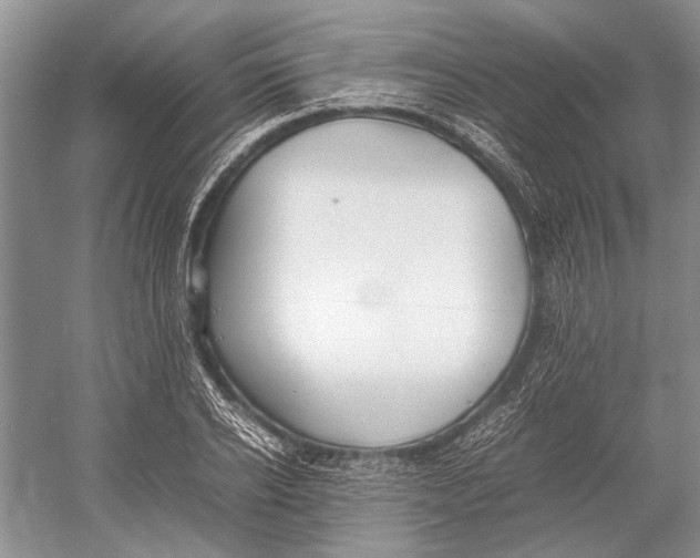 X0000052970934200508051011