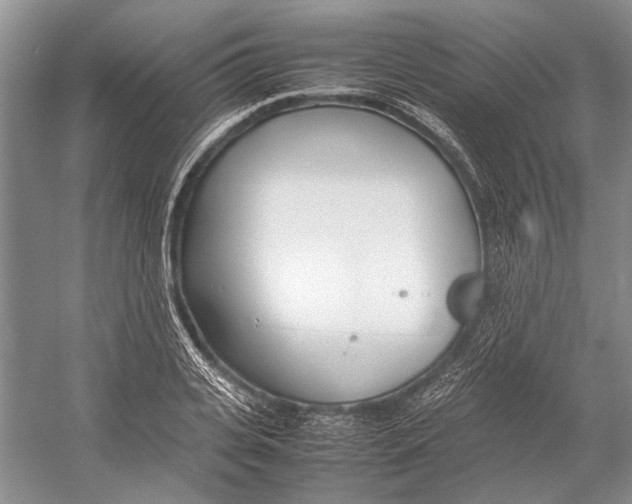 X0000052970935200508051011