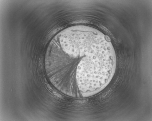 X0000052970937200508051011