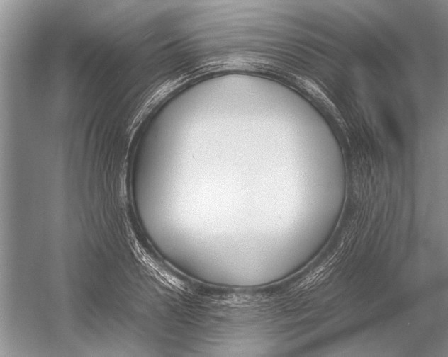 X0000052970938200508051011