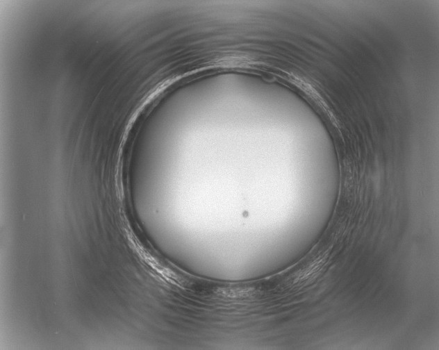 X0000052970939200508051011