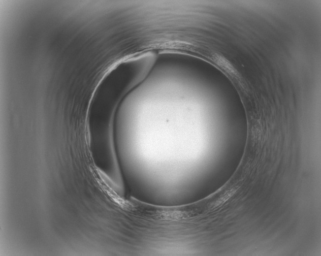 X0000052970940200508051011