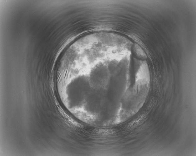 X0000052970941200508051011