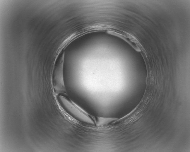 X0000052970946200508051011