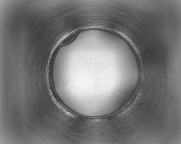 X0000052970949200508051011