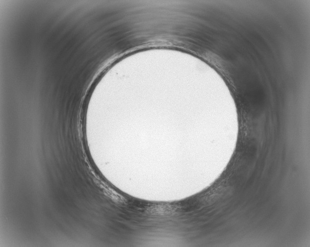 X0000052970950200508051011