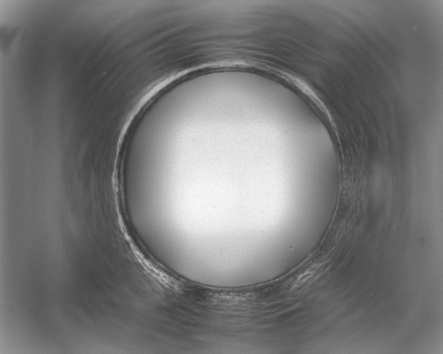 X0000052970951200508051011