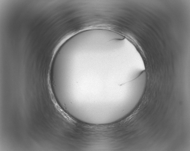 X0000052970952200508051011