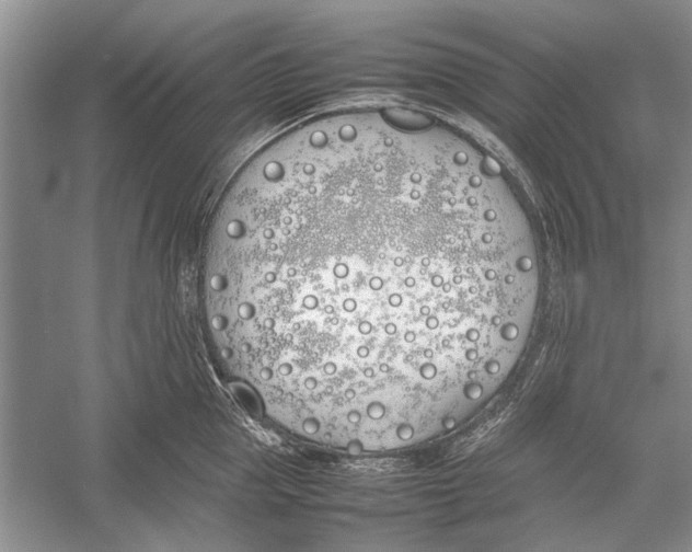 X0000052970953200508051011