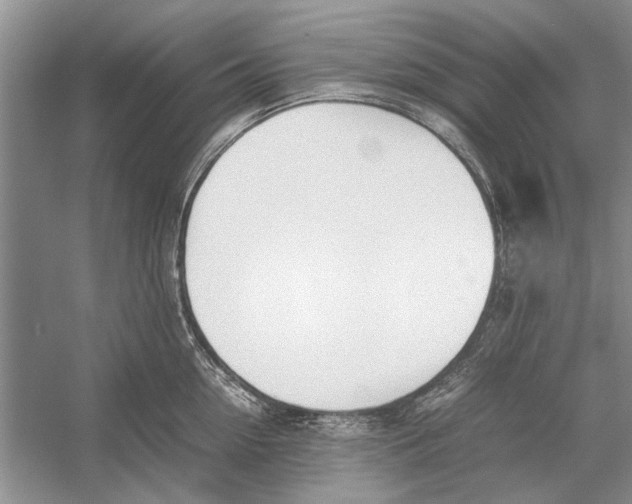 X0000052970954200508051011