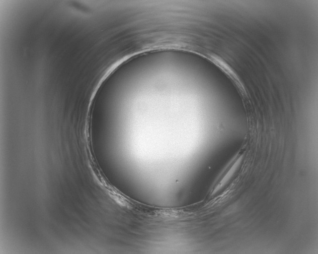 X0000052970956200508051011