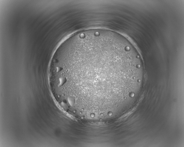 X0000052970957200508051011