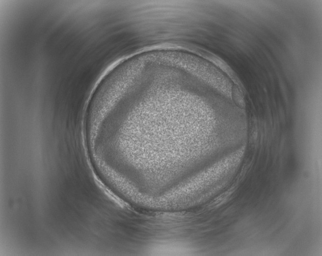 X0000052970958200508051011