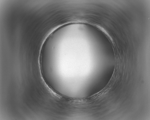 X0000052970959200508051011