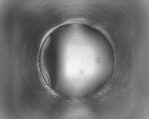 X0000052970960200508051011