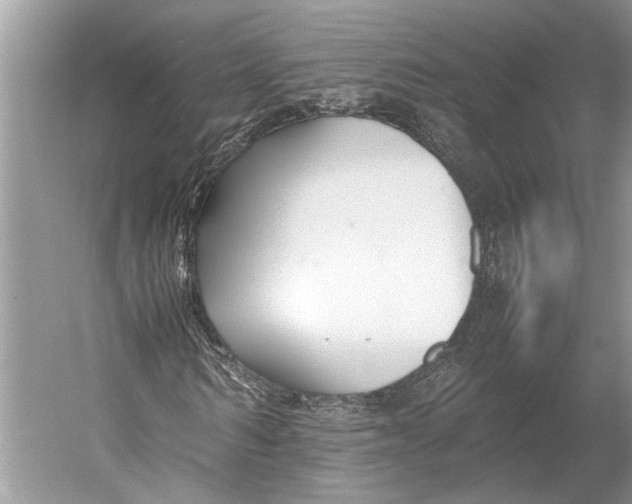 X0000052970962200508051010