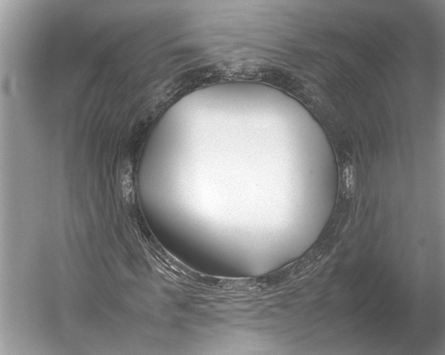 X0000052970963200508051010